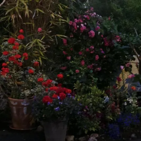 Guest house Inishmore House 3*
